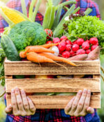 Au potager en Septembre