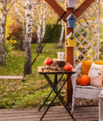 Les travaux d’Automne au jardin