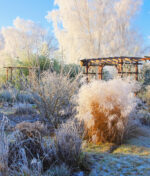 Protéger le jardin en hiver