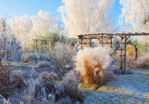 BLOG DELBARD - protéger jardin hiver BLOG DELBARD - protéger jardin hiver