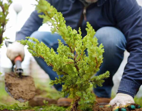 BLOG DELBARD - st catherine