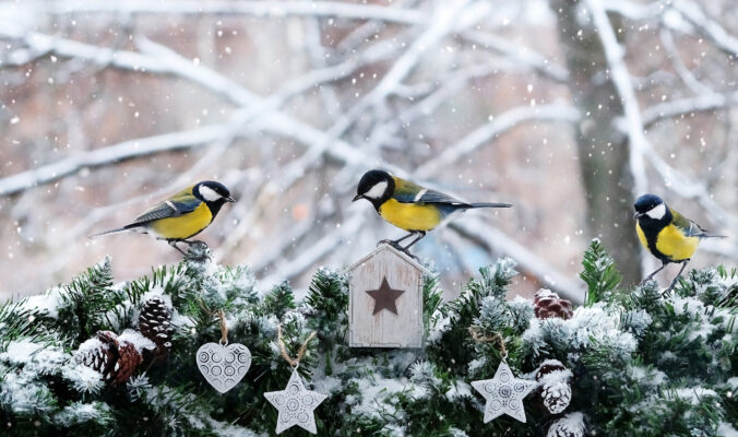 BLOG DELBARD - travaux décembre