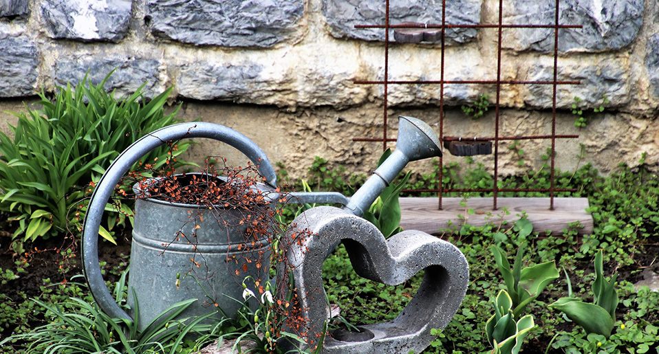 Entretien arrosage plantes jardin températures soleil été eau Blog Delbard