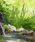 Comment construire son bassin de jardin ?