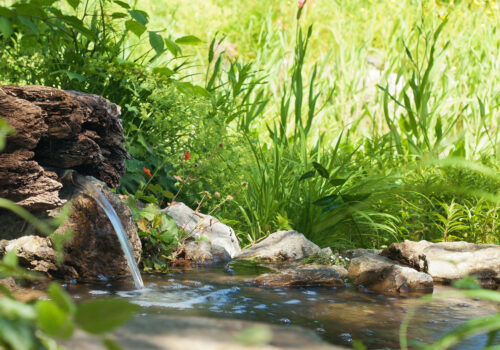 BLOG DELBARD - Bassin BLOG DELBARD - Bassin