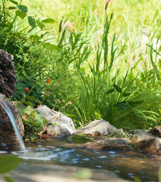 BLOG DELBARD - Bassin