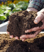 Terreau et amendement, quelles sont les différences ?