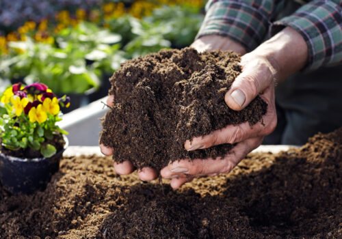 BLOG DELBARD - Terreau (3) BLOG DELBARD - Terreau (3)