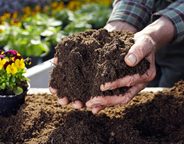 BLOG DELBARD - Terreau (3) BLOG DELBARD - Terreau (3)