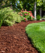 Comment protéger son jardin pendant les vacances d’été ?