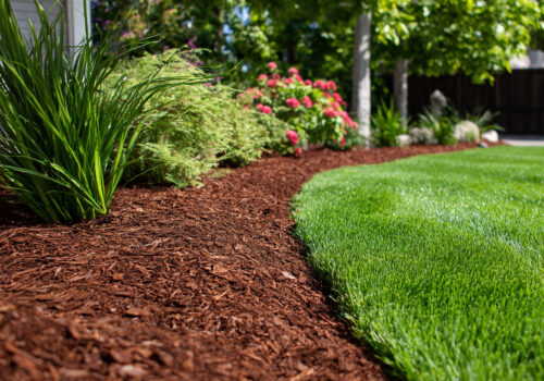 BLOG DELBARD - Entretien jardin été