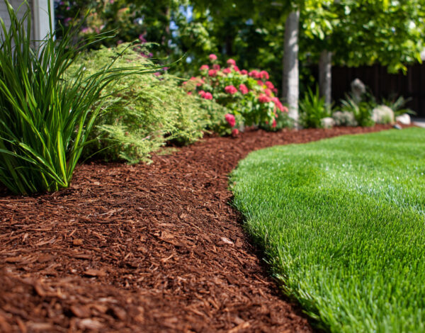 BLOG DELBARD - Entretien jardin été BLOG DELBARD - Entretien jardin été