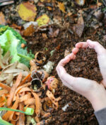 Comment faire son compost maison ?