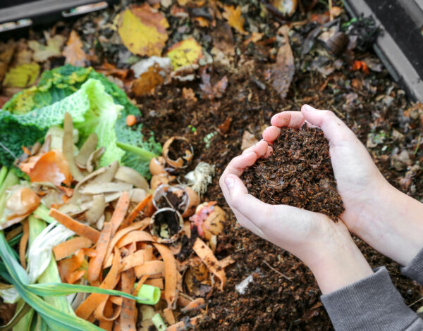 BLOG DELBARD - compost 3 BLOG DELBARD - compost 3