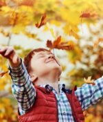 Les feuillages d’automne resplendissent au jardin